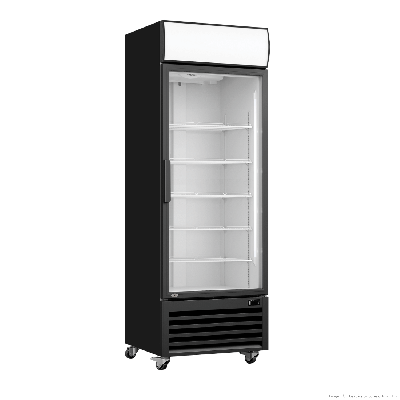 FE.D Thermaster-LG-370BP Single Glass Door Colourbond Upright Drink Fridge 