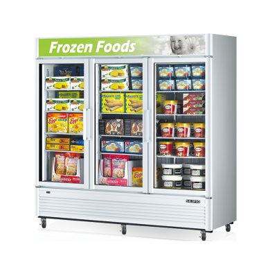 Skipio SGF-72 Upright Freezer - 1604L